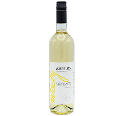 Sauvignon - první víno 2023 mzv AMPELOS