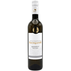 Grüner Veltliner 2022 DAC Hochsteinerberg ARKADENHOF BUCHMAYER