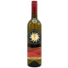 Grüner Veltliner Schatzberg 2023 BIO, SONNENHÜGEL - bílé víno, suché