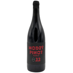 MODRÝ PINOT 2022 MARTIN VAJČNER