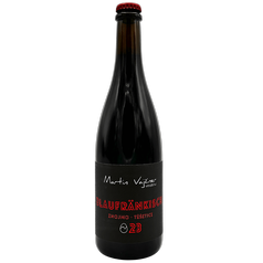 BLAUFRANKISH 2023 mzv MARTIN VAJČNER - naturální červené víno, suché